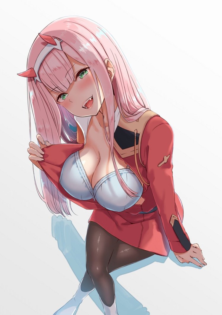 Zero Two Echchi