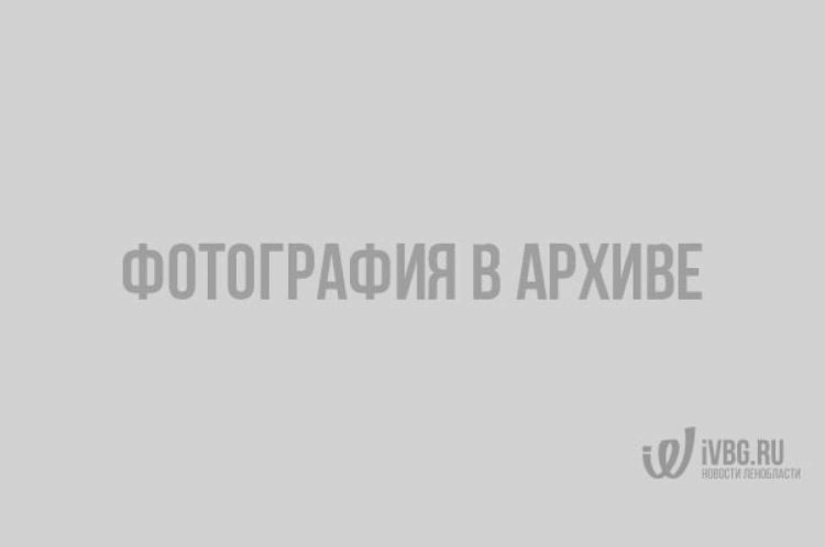 Katerina Murino and Pierre Rabadan