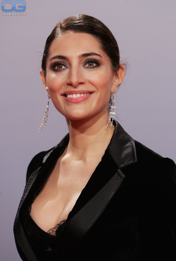 Big Alibi Film France