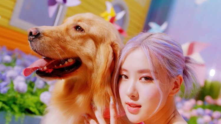 Rose Ice Cream Blackpink