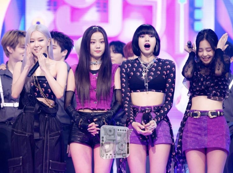 Rose Black Pink 2017