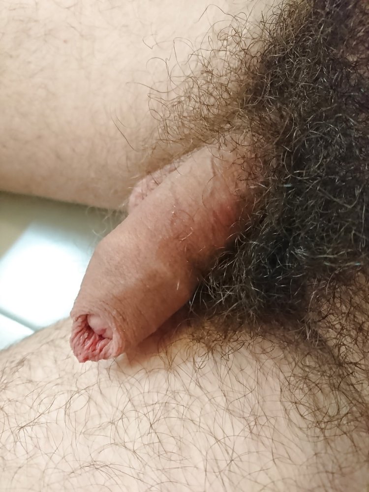 Huge hairy penis