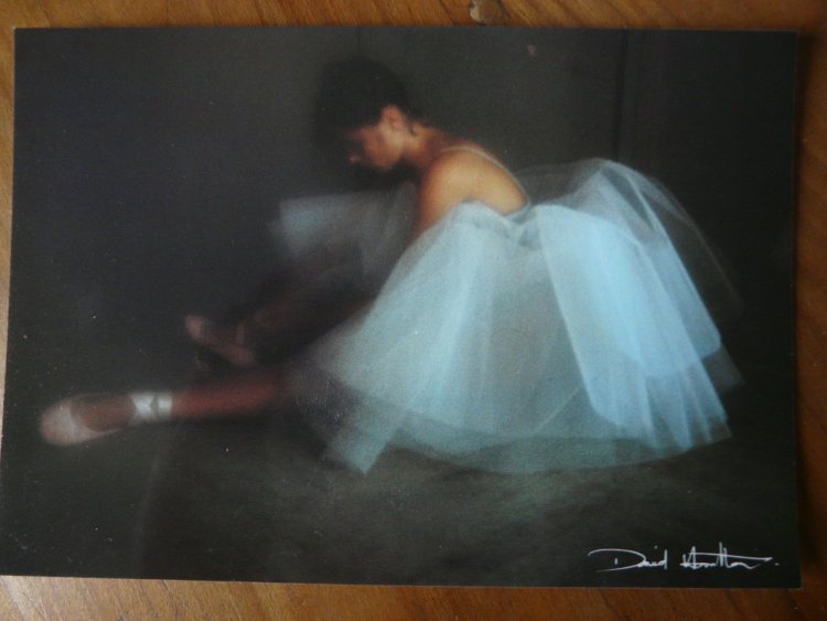 David Hamilton Flavie