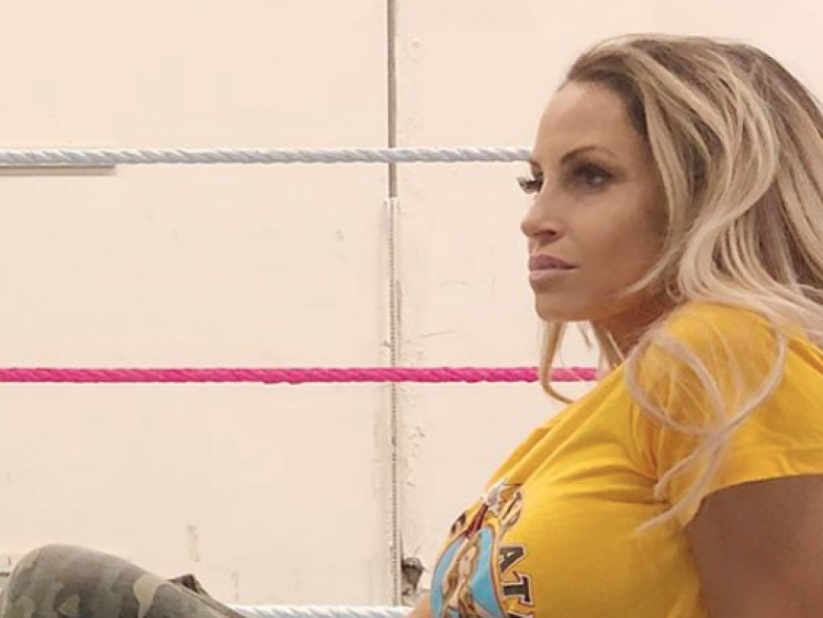 Dreamteam DVD pleasure Photorama