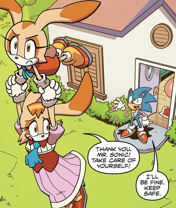 Artist - Akatsukishiranui -Fox Sonic