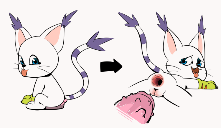 Gatomon Tickle