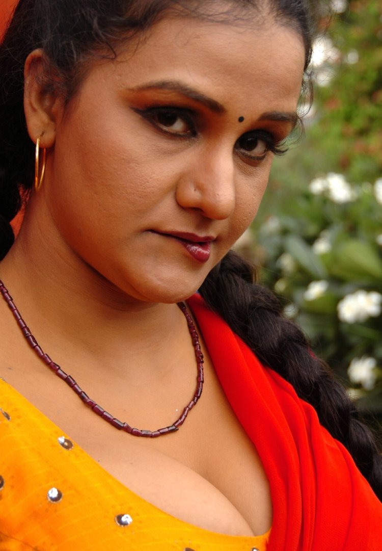 Hot in Saree Blouse TV Actress