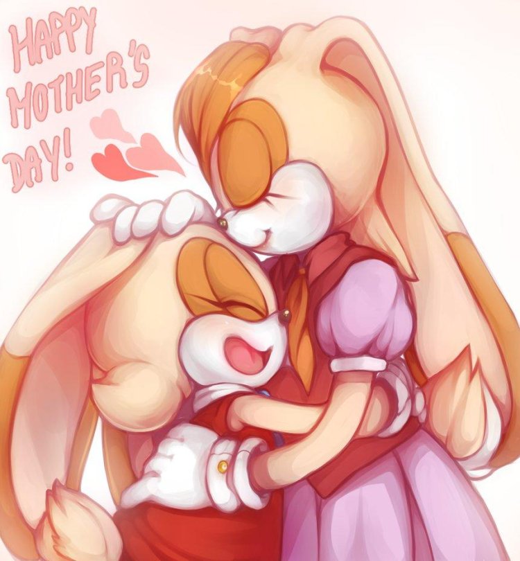 Vanilla The Rabbit Pregnant