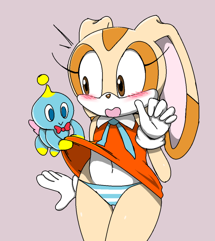 Sonic Cream The Rabbit in Panties