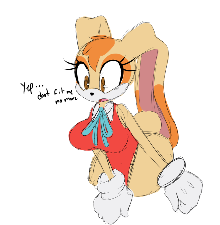 Sonic Cream The Rabbit Ero