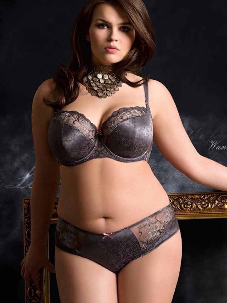 Ashley Alexis Plus Size