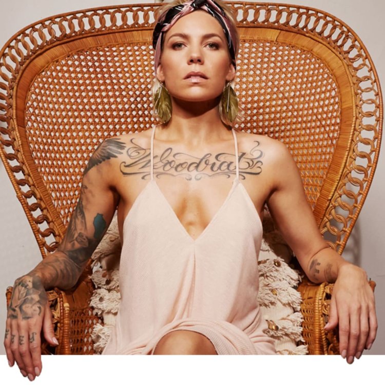 BPW 295x430 shock absorber