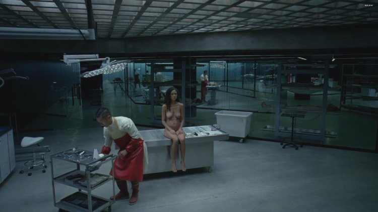 Tandy Newton Naked World of the Wild West