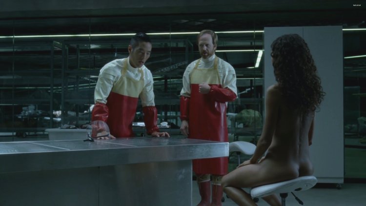 The world of the Wild West Erotic scenes