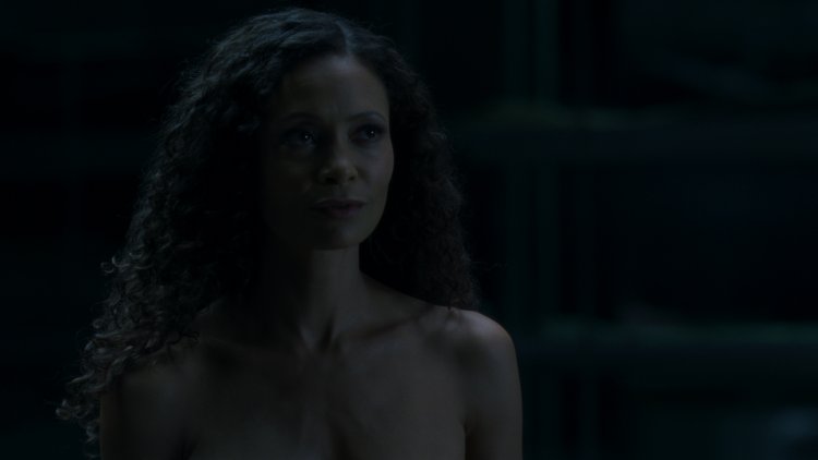 Westworld Naked Android drawings