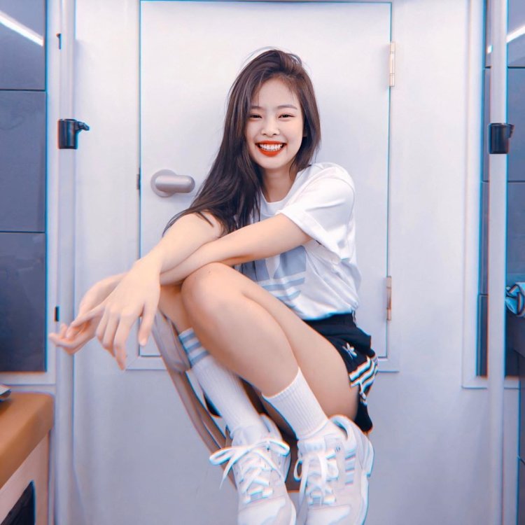 Black Pink Fox and Jenny