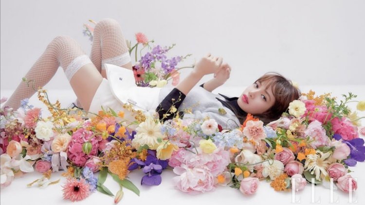 Black Pink Lovesick Girls