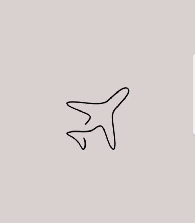 Drunk stewardesses on an airplane