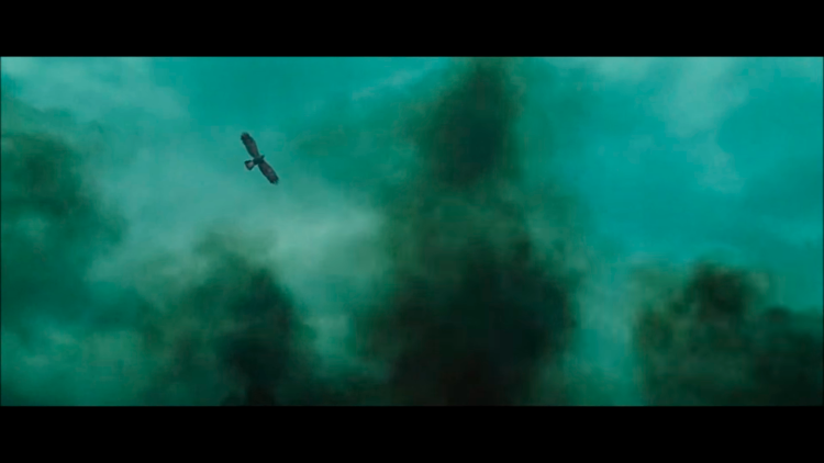 Women's cards for 40 private