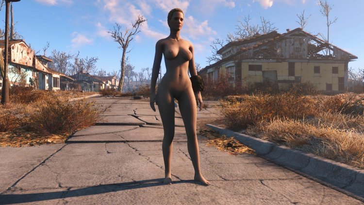 Caliente's Beautiful Bodies Enhancer -cbbe- for Fallout 4
