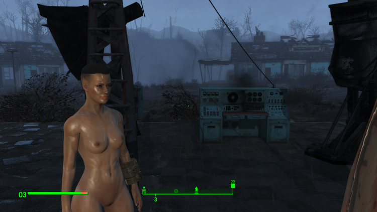 Fallout 4 Erotic mods