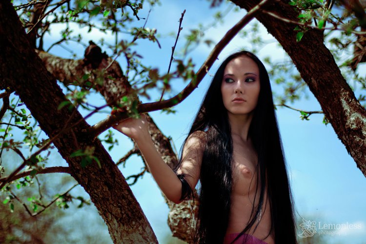 Peter Marosi photographer