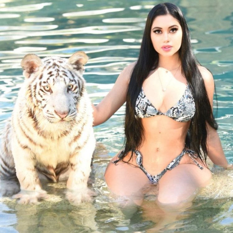 Jailyne Curves in 2018