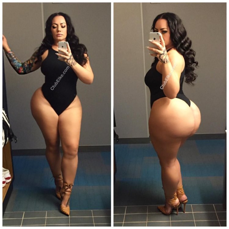 Elke the Stallion