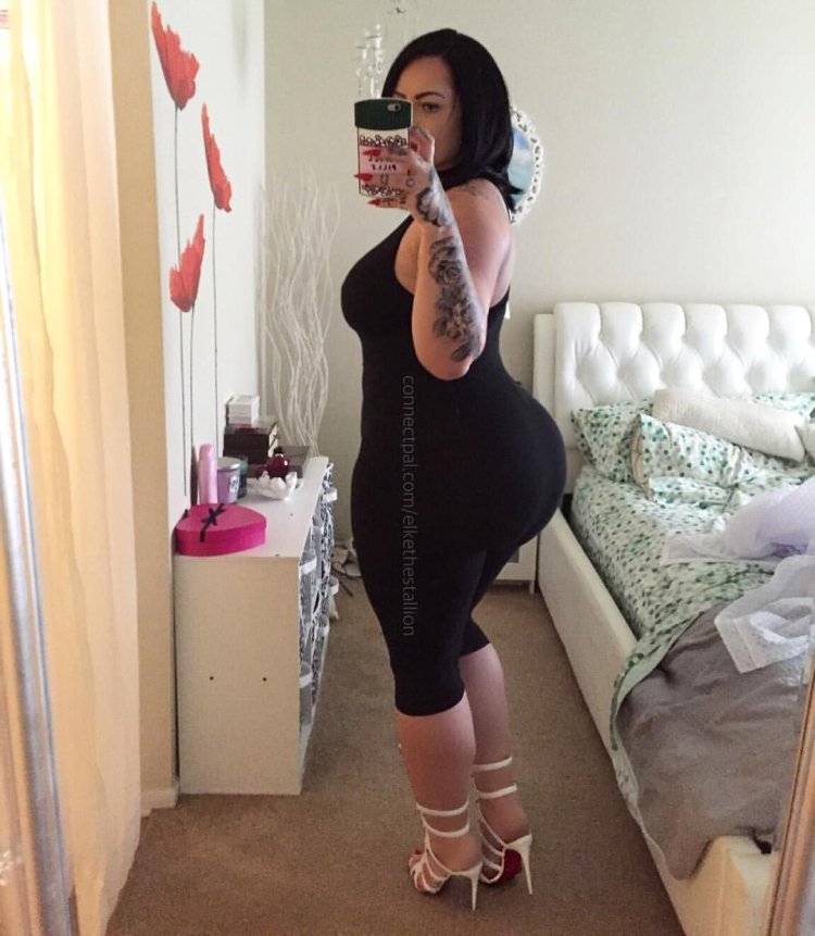Elke the Stallion