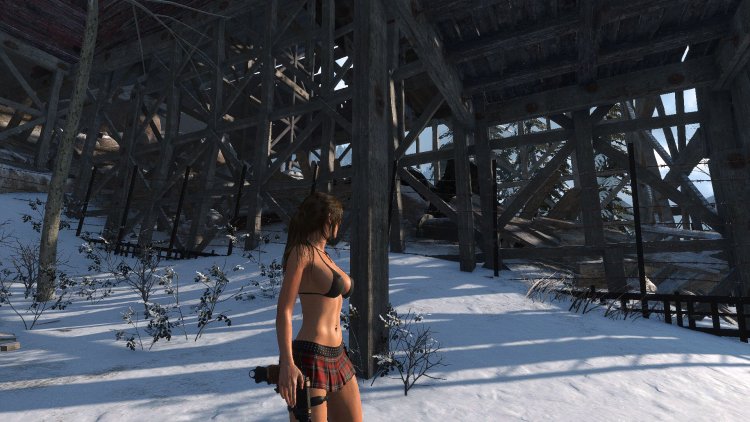 Rise of the Tomb Raider Nud Mod
