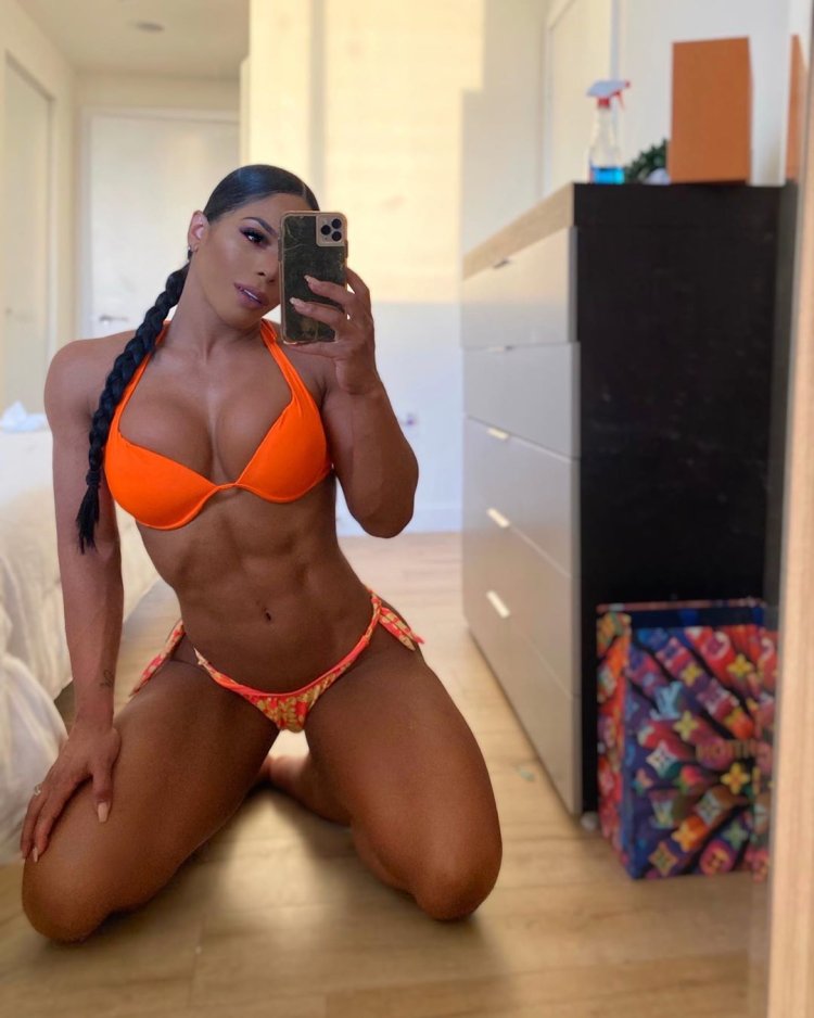 Yarishna Ayala figure