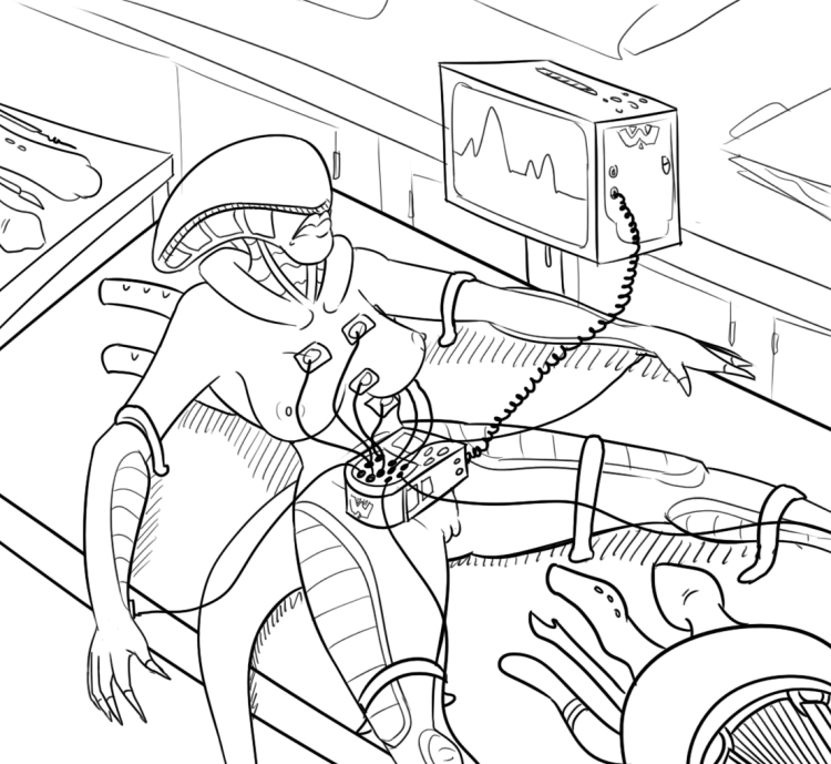 Maxressdefault's contour drawing