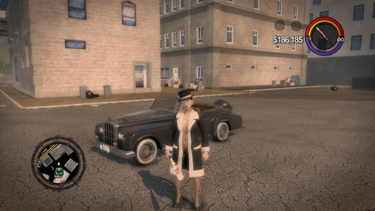 Saints Row 4 Panties