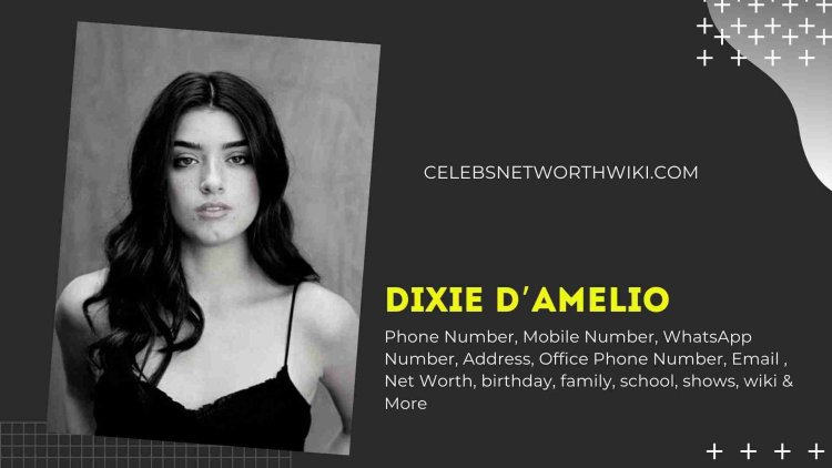 Dixie Damelio Porn actress