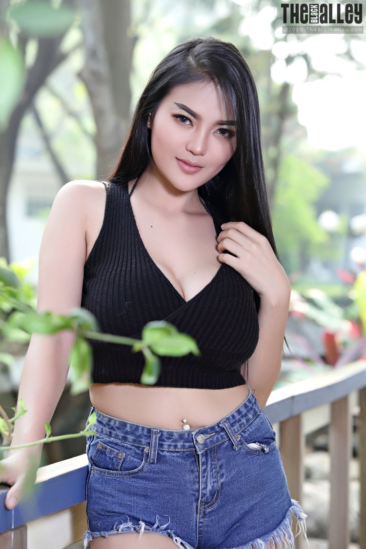 Pitta Set 10 Download Full Zip