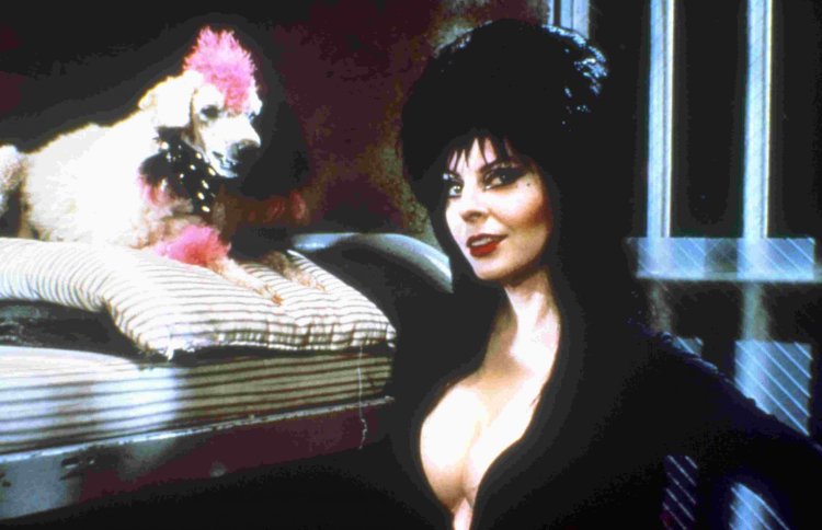 Elvira Lord of Darkness 2020