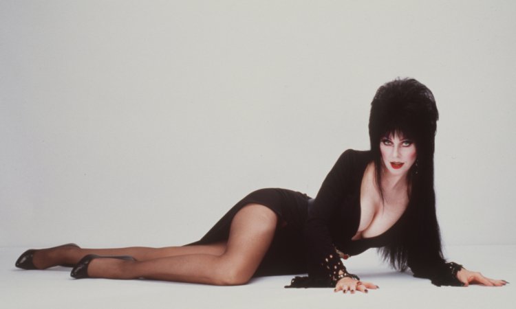 Elvira Mistress of the Dark Calendar 1988