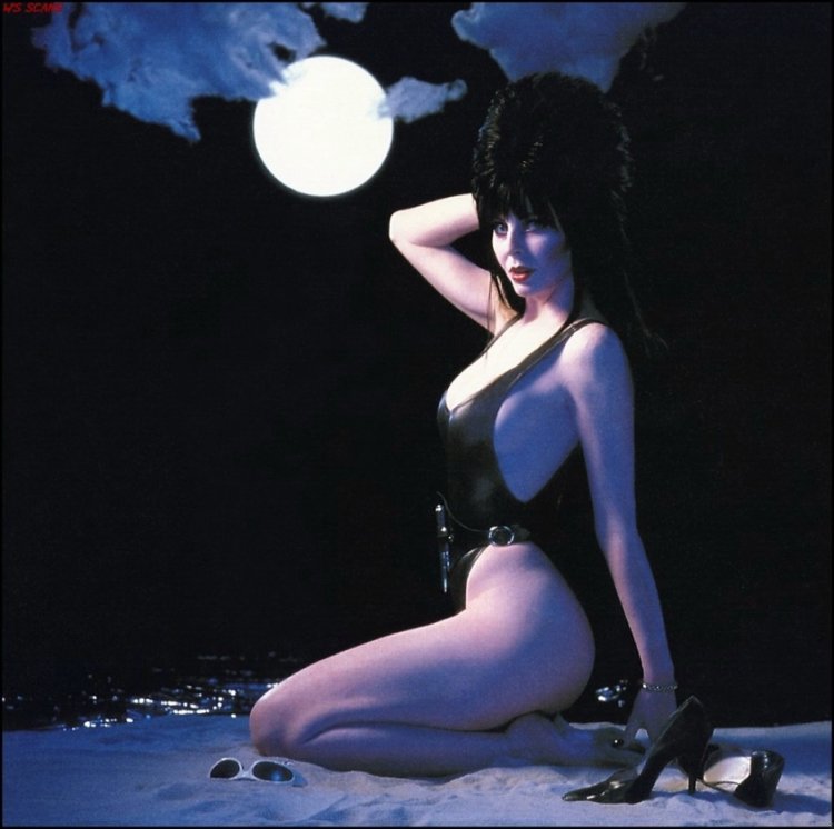 Elvira Lord of Darkness now