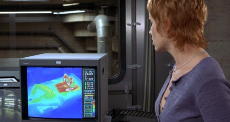 Invisible film 2000 Kim Dickens