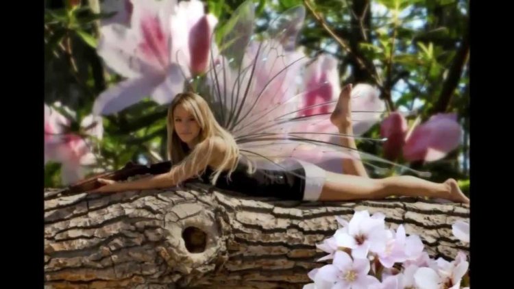 Jade Bevis Sarai Jade