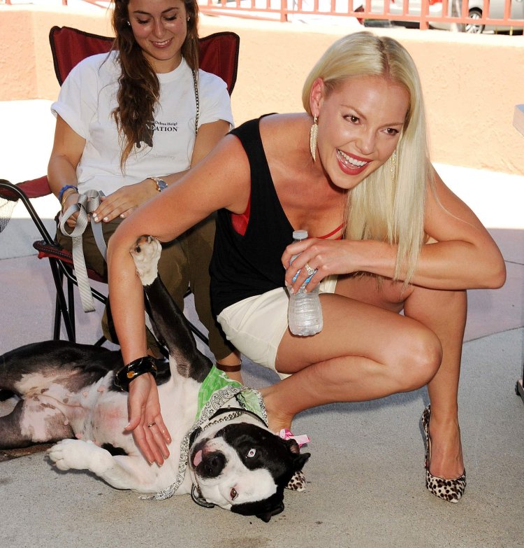 Katherine Hage Maxim Brunette