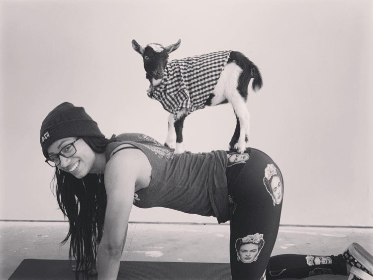 USAWives Chubby American Mature Lady Niki