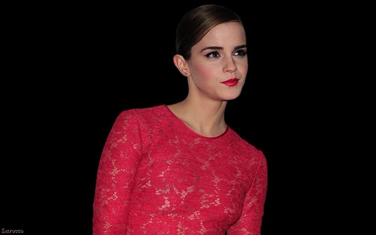 Hydraulic cylinder of the steering 4085-3409016