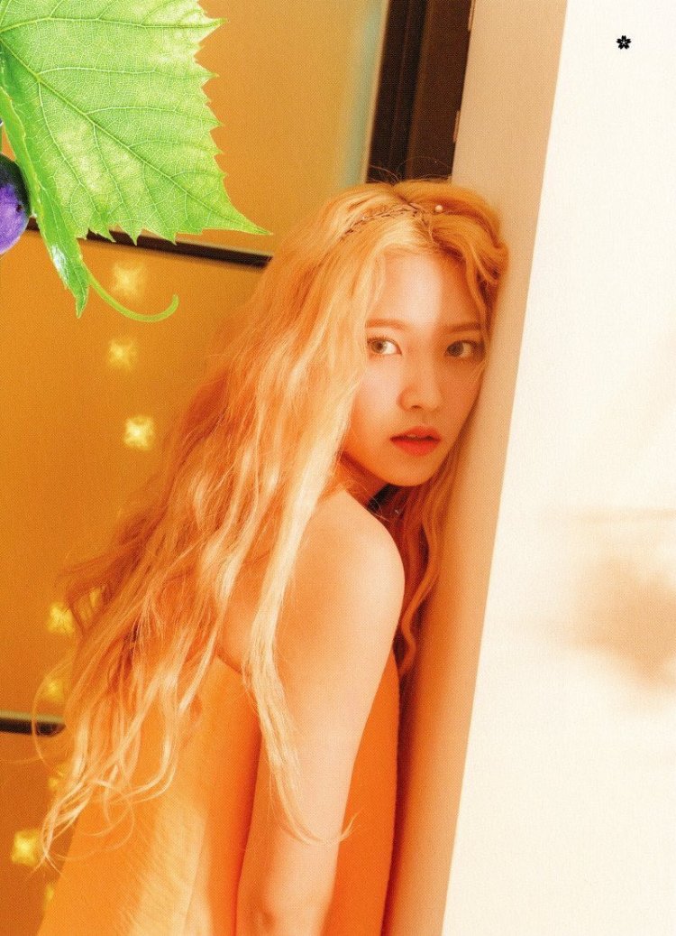 Irene Seulgi Monster Arts