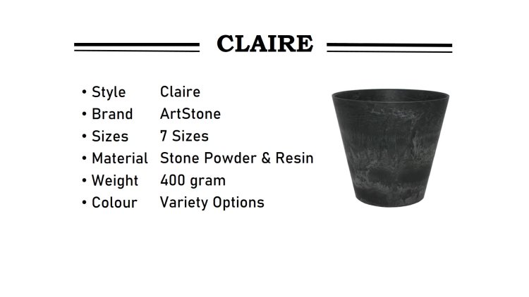 Jill Valentine and Claire Redfield