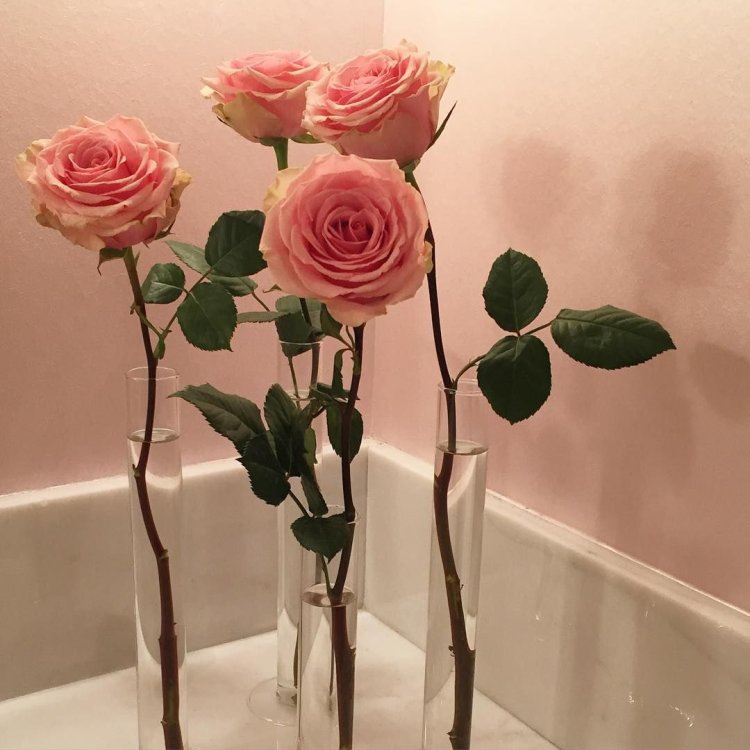 Pink aesthetics for avu