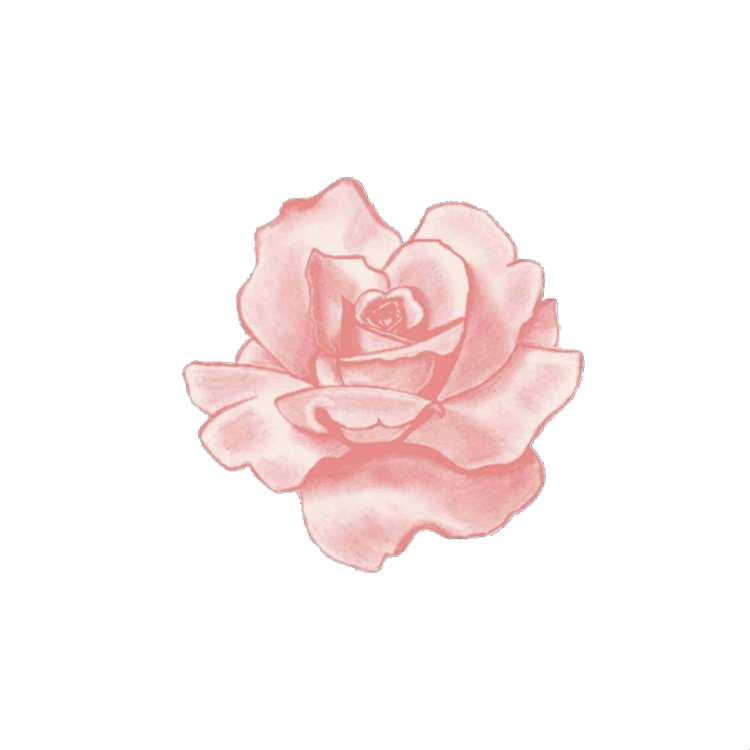 Stexters aesthetics pink