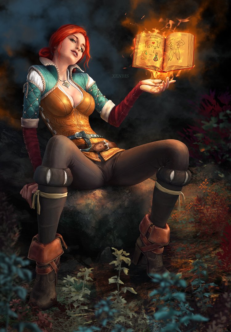 Disharmonica Triss Merigold