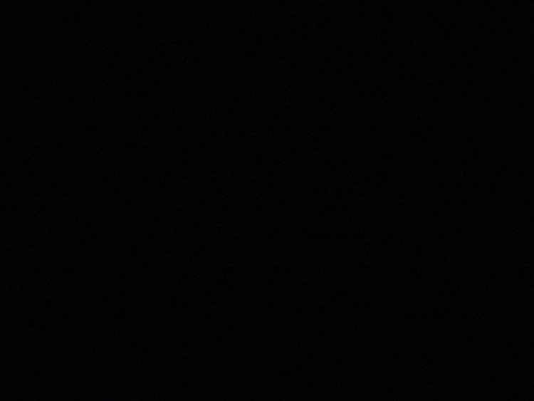 The pair wallpaper of LGBT