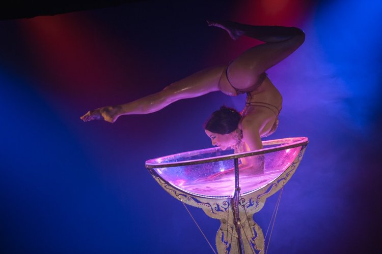 Circus rubber plastic sketch Alina Alvarez